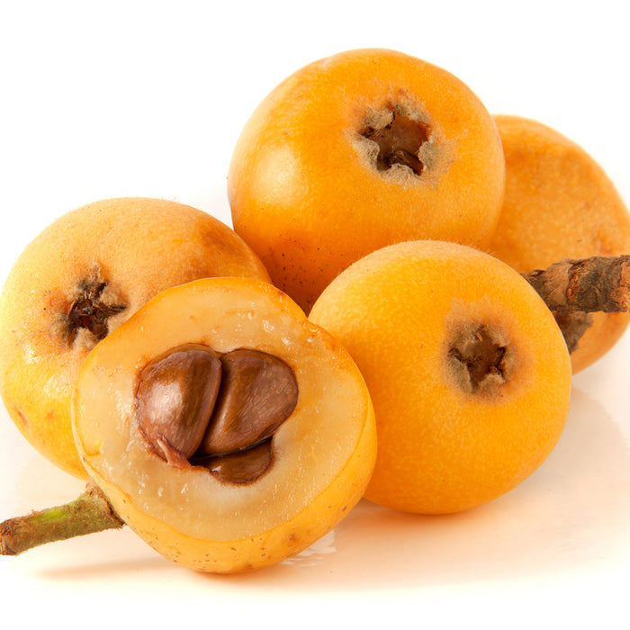 Asian Plum Fragrance Oil 268
