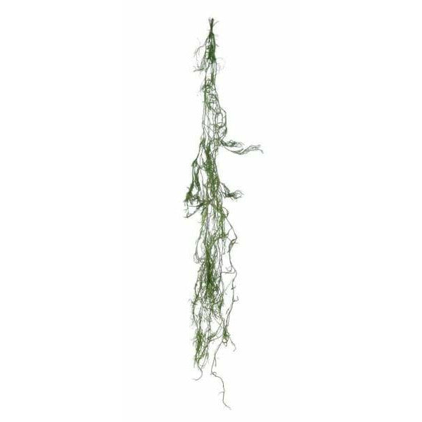 Creeping Cedar Greenery