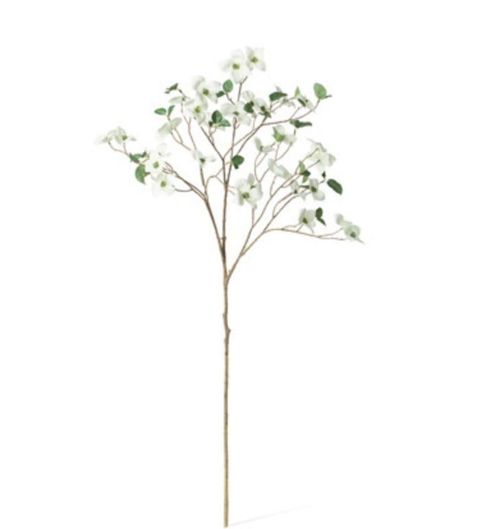 Dogwood Branch