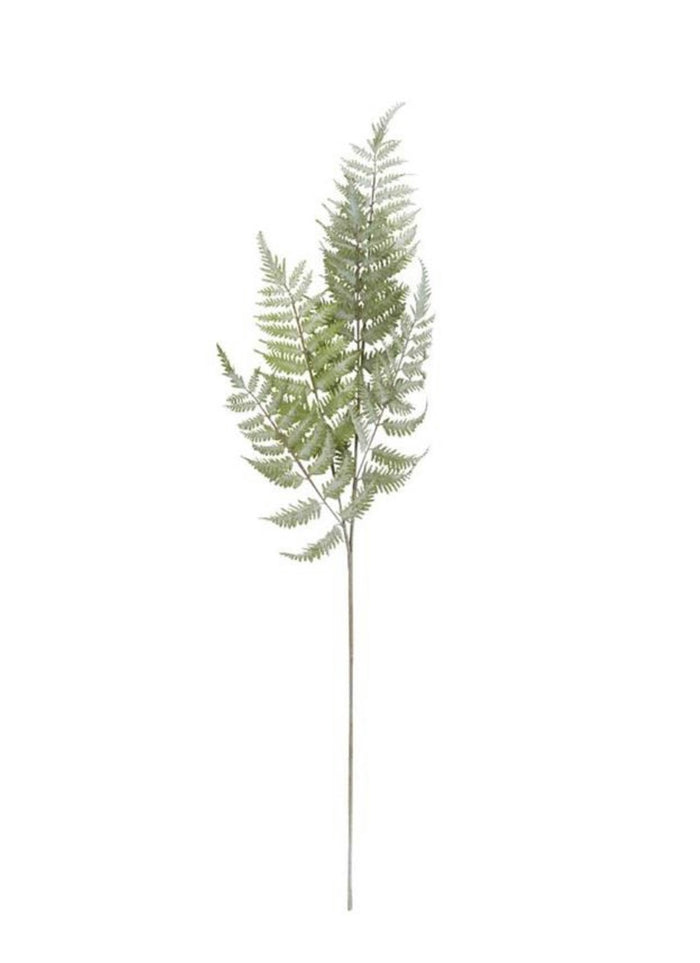Fern Leaf Stem