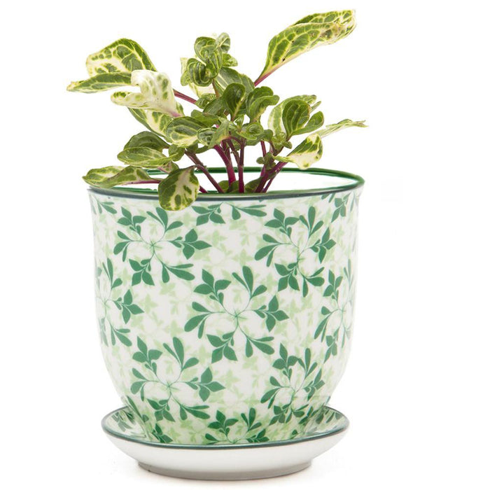 Green Leaves - Liberte Planter Pot + Saucer