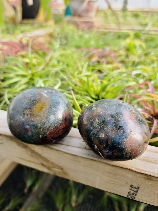 Ocean Jasper Palm Stone