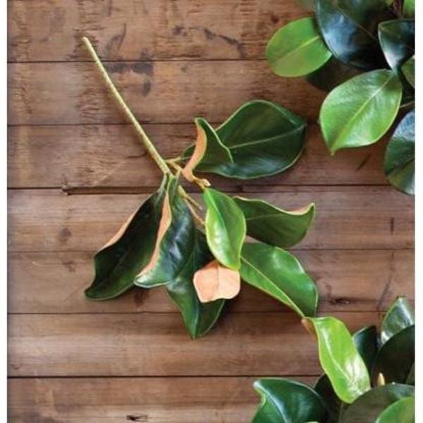 Plantation Magnolia Stem - Greenery