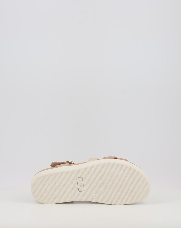 DAISY 108730