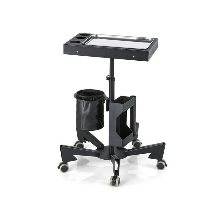 TATARTIST TA-WS-17 Mobile Tattoo Workstation