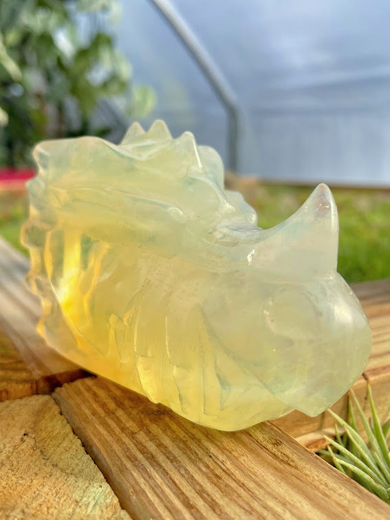 WYSIWYG- Opalite Dragon Head