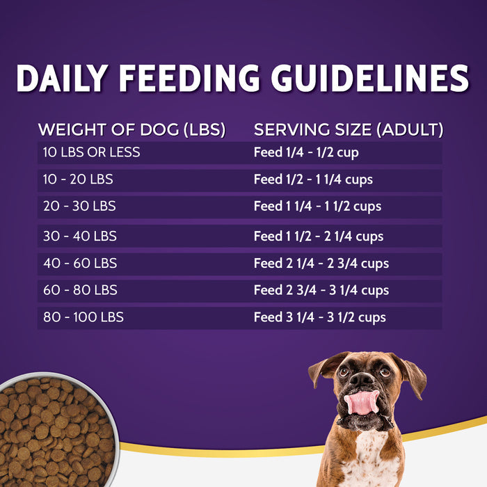 Zignature Turkey Formula Dog Food