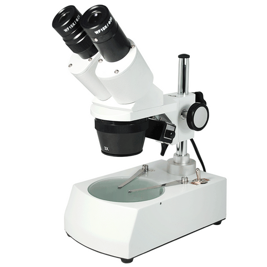 10X & 30X Widefield Student Binocular Stereo Microscope Top & Bottom Light, SKU FS12110224, three quarter front view