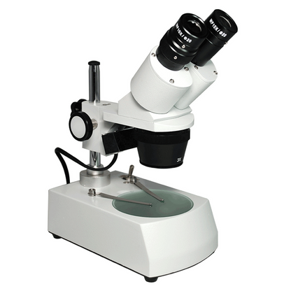 10X & 30X Widefield Student Binocular Stereo Microscope Top & Bottom Light