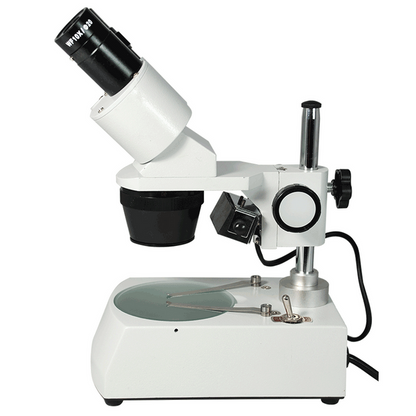 10X & 30X Widefield Student Binocular Stereo Microscope Top & Bottom Light