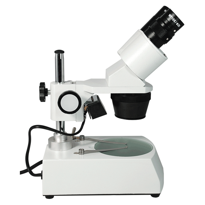 10X & 30X Widefield Student Binocular Stereo Microscope Top & Bottom Light