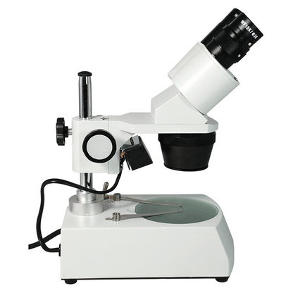 10X & 30X Widefield Student Binocular Stereo Microscope Top & Bottom Light