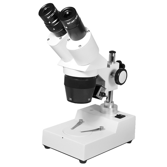 10X/20X Widefield Stereo Microscope, Binocular, Post Stand, Halogen Top Light, SKU FS12120123, three quarter front view