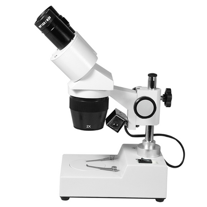 10X/20X Widefield Stereo Microscope, Binocular, Post Stand, Halogen Top Light