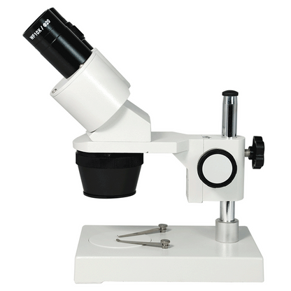 10X/20X Widefield Stereo Microscope, Binocular, Post Stand (Height 155mm) Fixed Head