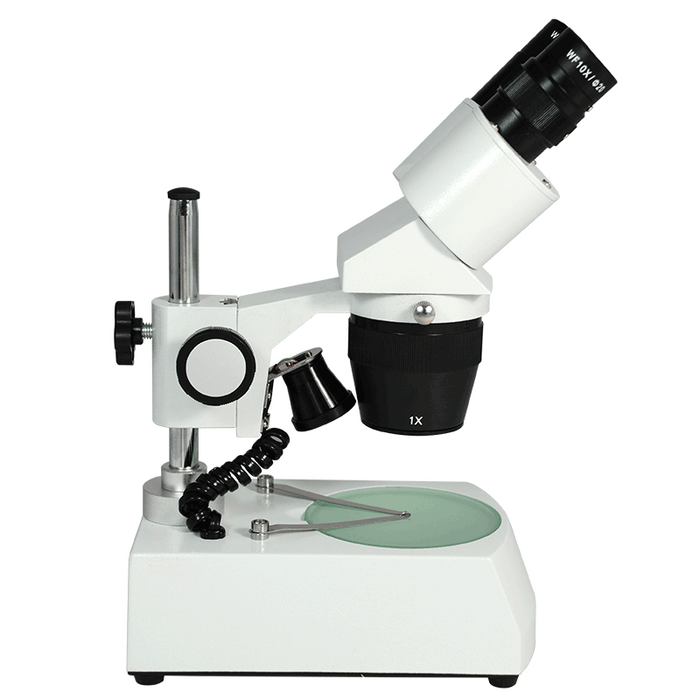 10X/30X WF LED Widefield Forward Stereo Microscope Top & Bottom Light Portable