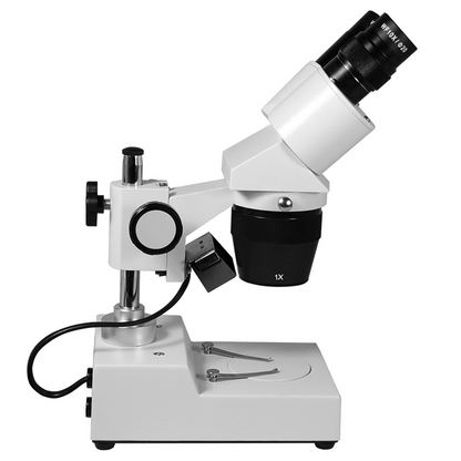 10X/30X Widefield Stereo Microscope, Binocular, Post Stand, Halogen Top Light