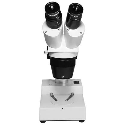 10X/30X Widefield Stereo Microscope, Binocular, Post Stand, Halogen Top Light