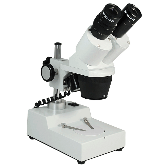 10X/30X Widefield Stereo Microscope, Binocular, Post Stand, LED Top Light (Fixed Head)