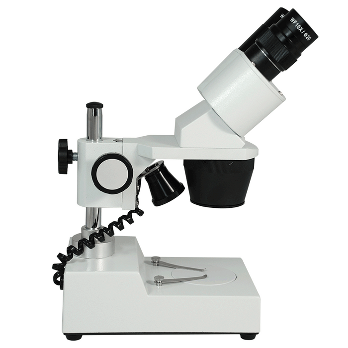 10X/30X Widefield Stereo Microscope, Binocular, Post Stand, LED Top Light (Fixed Head)