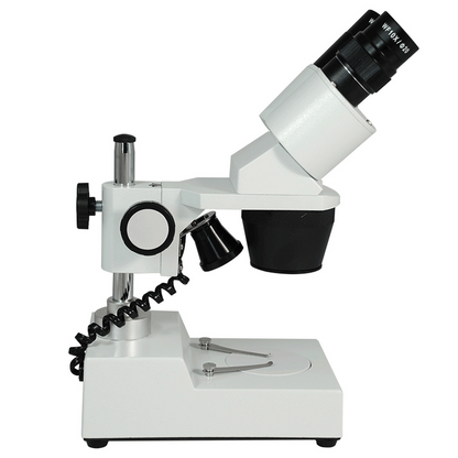 10X/30X Widefield Stereo Microscope, Binocular, Post Stand, LED Top Light (Fixed Head)