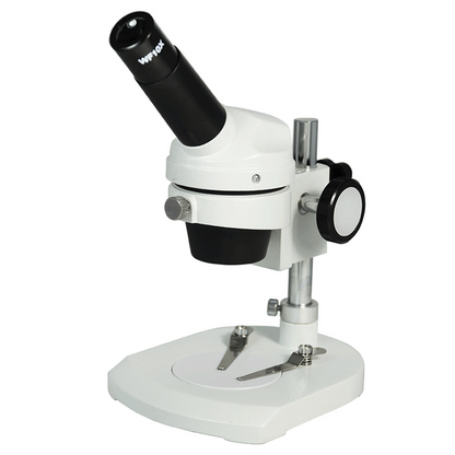 20X Widefield Stereo Microscope, Monocular, Post Stand, FOV 9mm for Dissecting, SKU FS12080112, three quarter front view