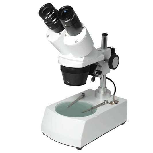 20X/40X Widefield Forward Binocular Stereo Microscope Dual Light Post Stand, SKU FS12110324, three quarter front view