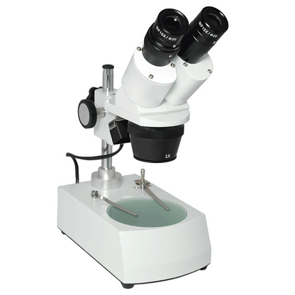 20X/40X Widefield Forward Binocular Stereo Microscope Dual Light Post Stand