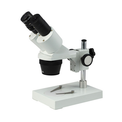 20X/40X Widefield Stereo Microscope, Binocular, Post Stand (Height 140mm) Fixed Head, SKU FS12110321, three quarter front view