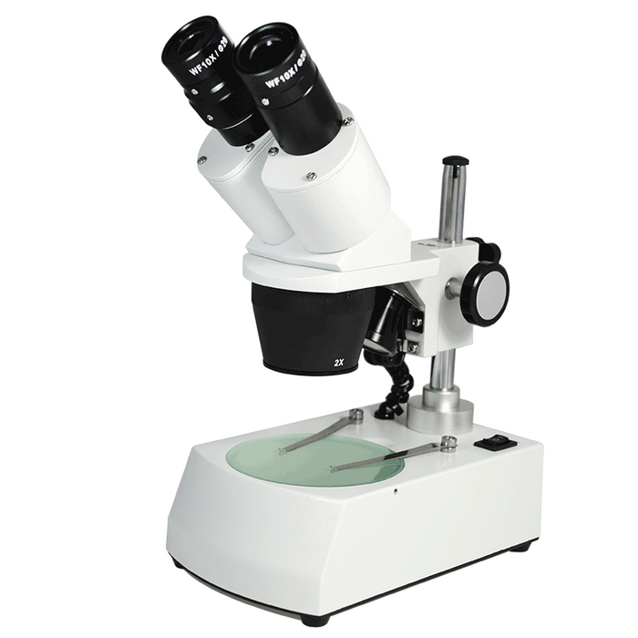 20X/40X Widefield Stereo Microscope, Binocular, Post Stand, LED Top and Bottom Light, Bright Field (Fixed Head), SKU FS12110327, three quarter front view