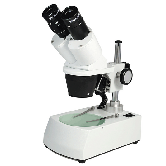 20X/40X Widefield Stereo Microscope, Binocular, Post Stand, LED Top and Bottom Light, Bright Field (Fixed Head), SKU FS12110327, three quarter front view