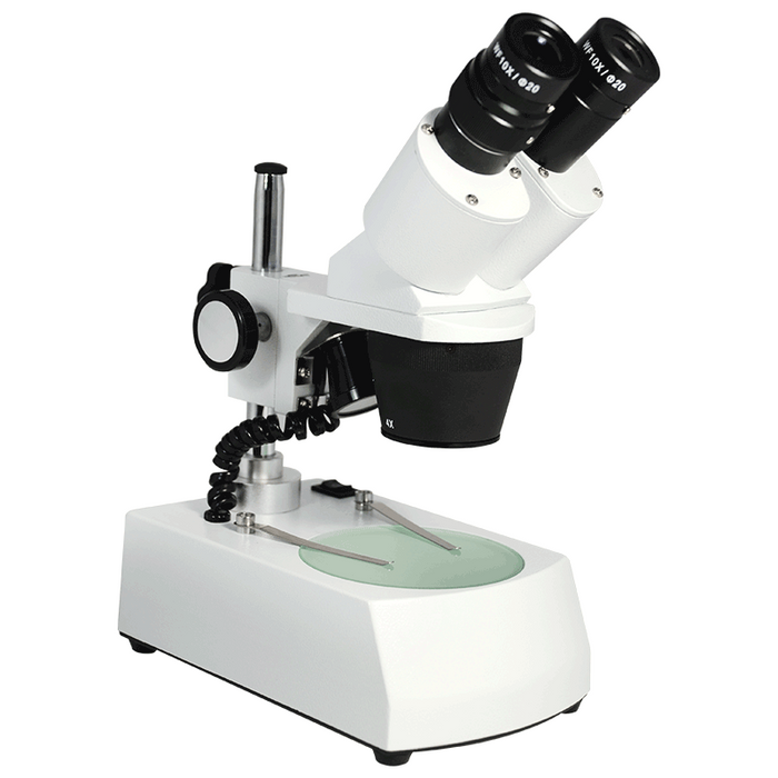 20X/40X Widefield Stereo Microscope, Binocular, Post Stand, LED Top and Bottom Light, Bright Field (Fixed Head)