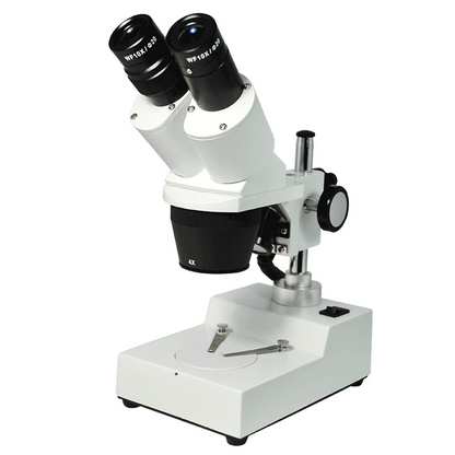 20X/40X Widefield Stereo Microscope, Binocular, Post Stand, LED Top Light (Fixed Head), SKU FS12110326, three quarter front view
