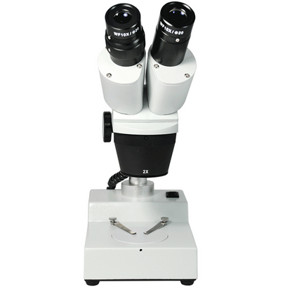 20X/40X Widefield Stereo Microscope, Binocular, Post Stand, LED Top Light (Fixed Head)