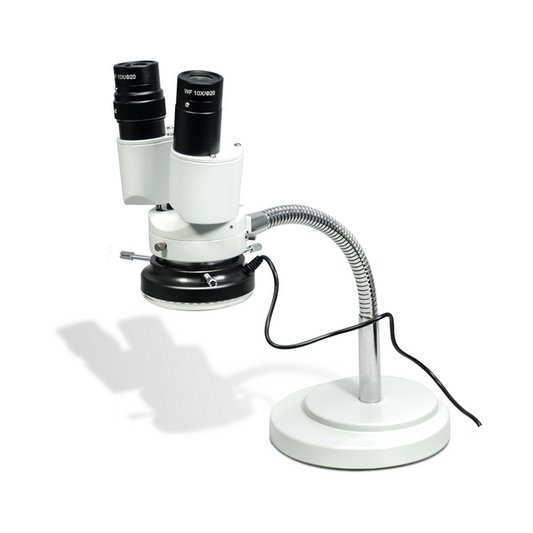 8X LED Light Gooseneck Stand 8X Binocular Fixed Power Stereo Microscope, SKU FS02050125, three quarter front view