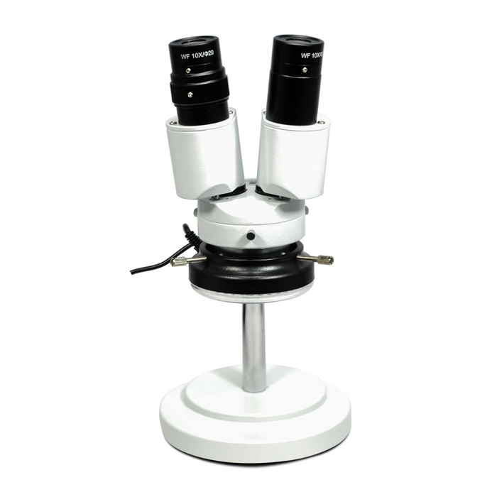 8X LED Light Gooseneck Stand 8X Binocular Fixed Power Stereo Microscope FS02050125