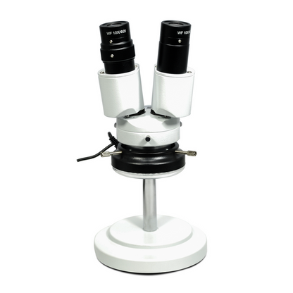 8X LED Light Gooseneck Stand 8X Binocular Fixed Power Stereo Microscope FS02050125