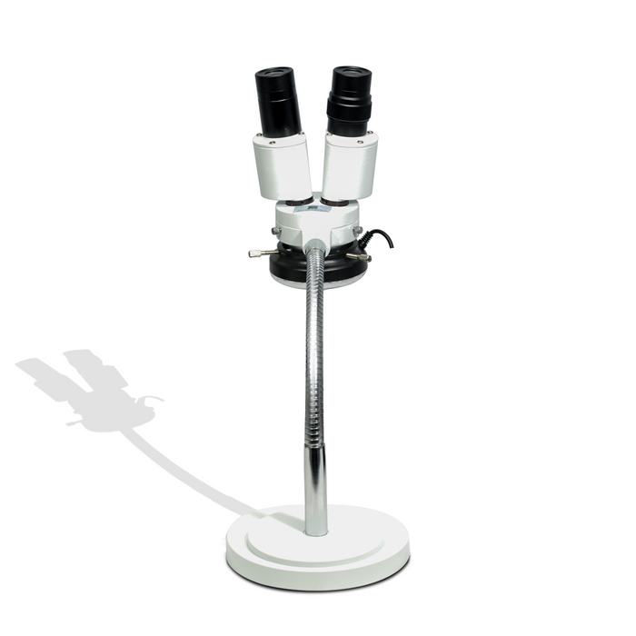 8X LED Light Gooseneck Stand 8X Binocular Fixed Power Stereo Microscope FS02050125