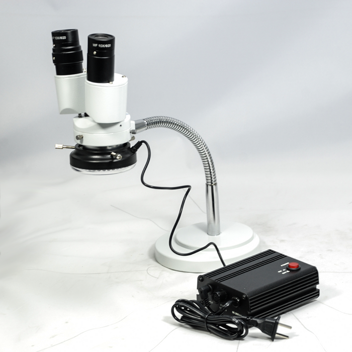 8X LED Light Gooseneck Stand 8X Binocular Fixed Power Stereo Microscope FS02050125