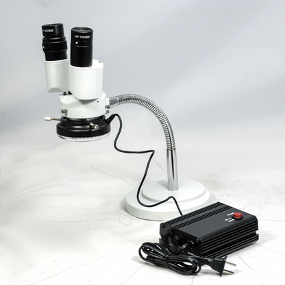 8X LED Light Gooseneck Stand 8X Binocular Fixed Power Stereo Microscope FS02050125