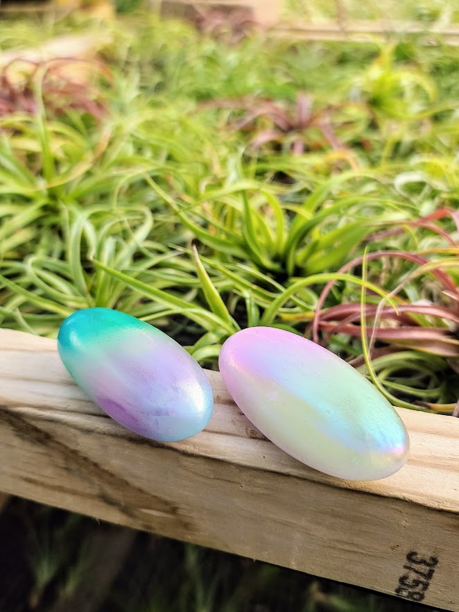 Aura Coated Selenite Palm Stone