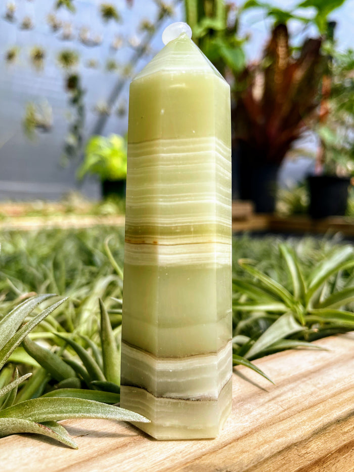 Banded Green Onyx Crystal Point