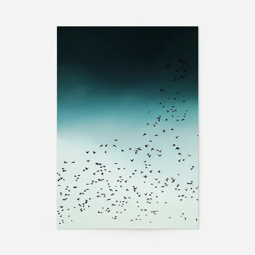 Birds In Flight Print