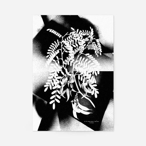 Black and white botanical floral spray print on archival art paper, featuring a vintage plant illustration with contemporary stencil marks.