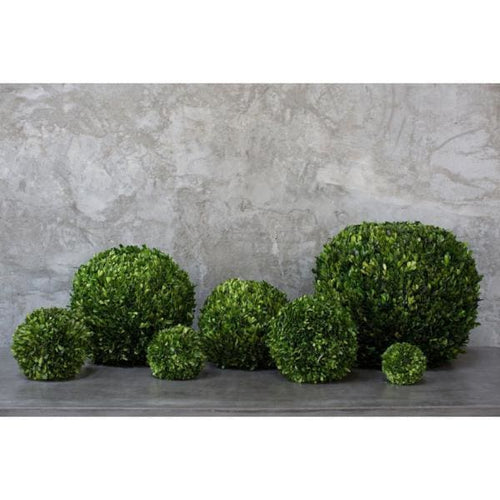 Boxwood Ball