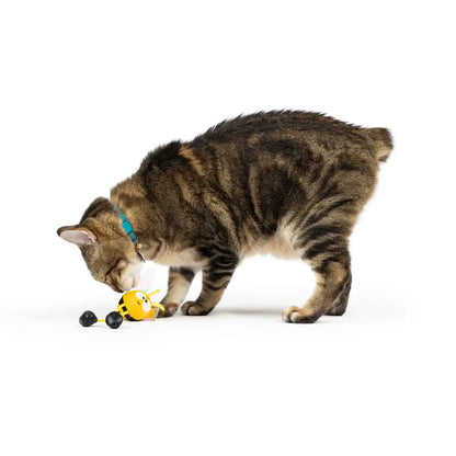 Bumble Bee Chirpy Cat Toy - Detail View - Huxley & Kent