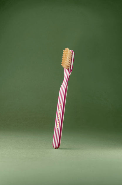 Capri Toothbrush Burgundy