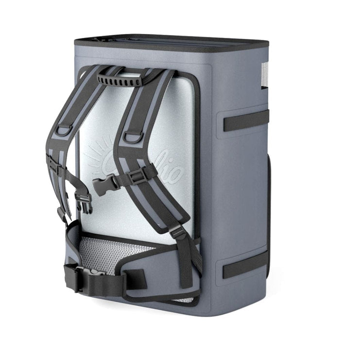 Chapie Floating Backpack Cooler