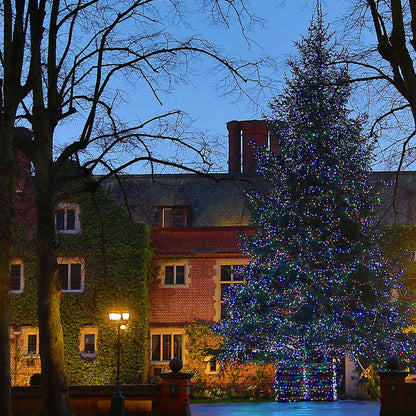 ML100MG_multi-coloured-Christmas-tree-lights-at-queen-ethelburgas-york_P3.jpg