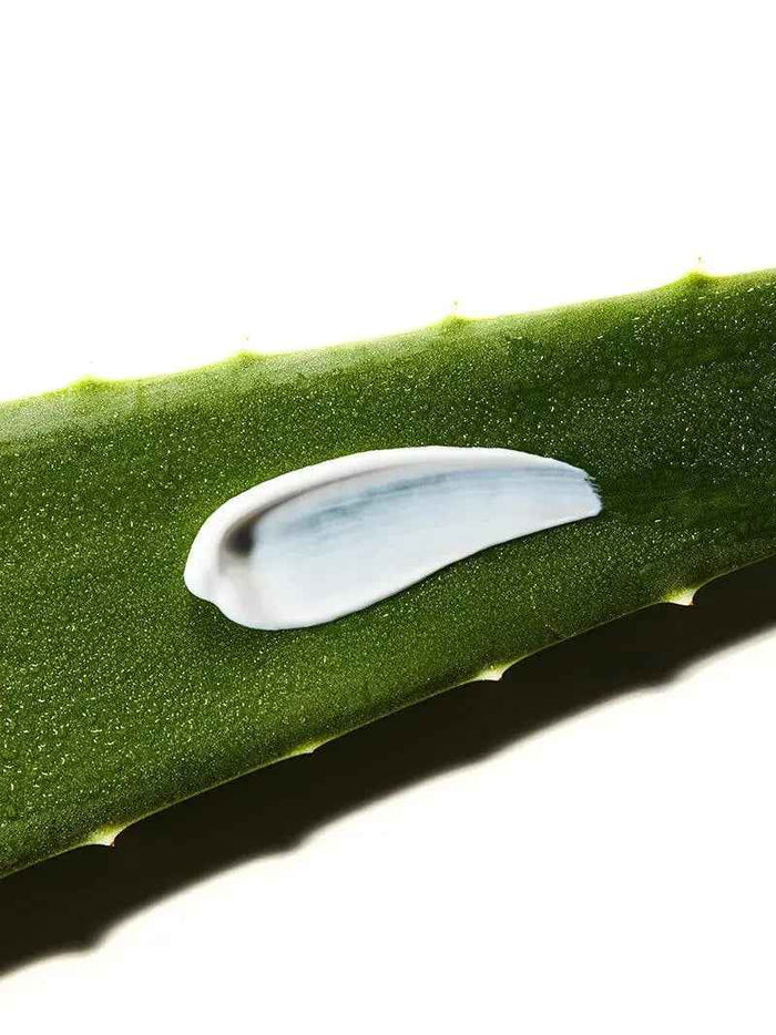 COSRX Aloe Soothing Sun Cream SPF50+/ PA+++ 50 ml - DOKAN